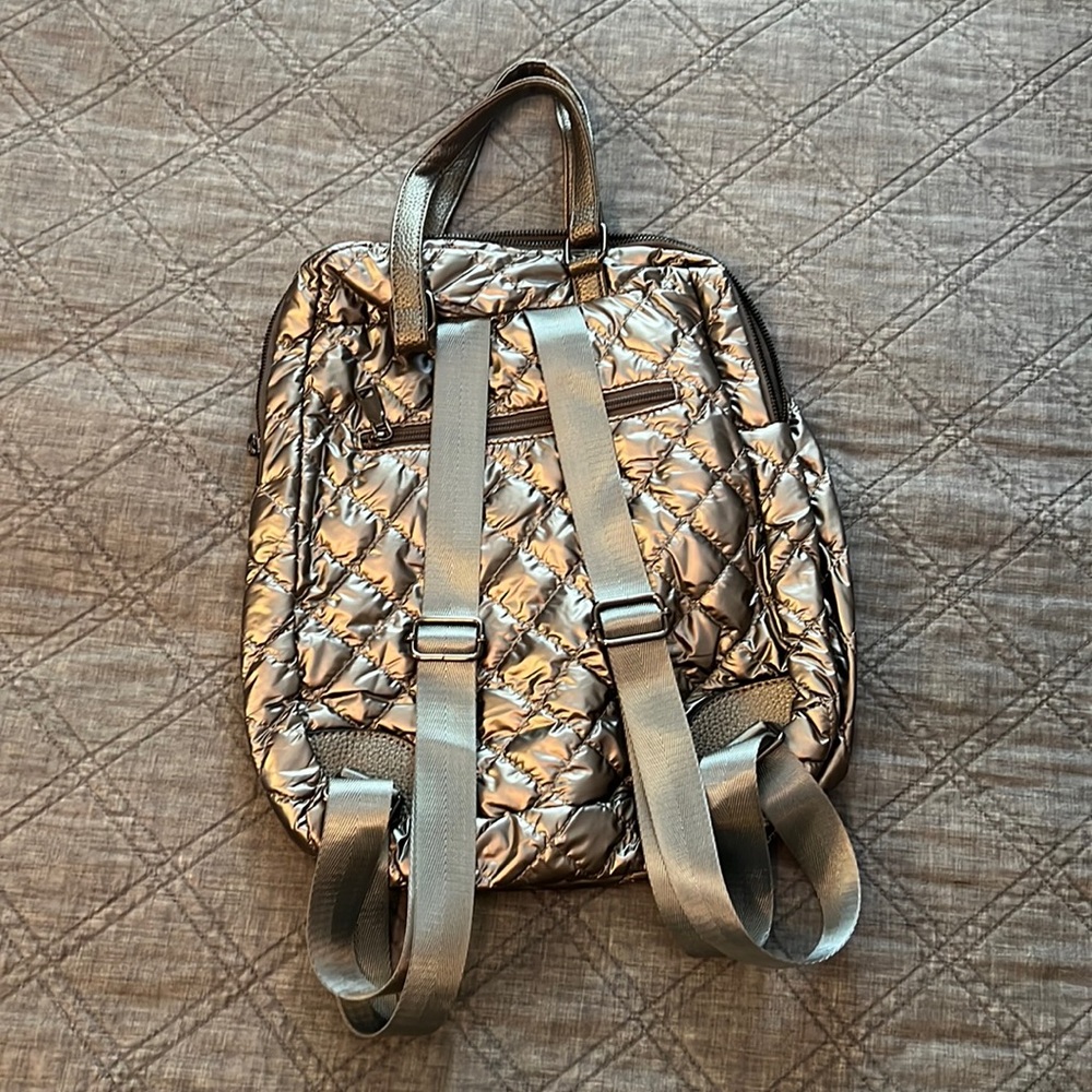 Medium Size Metallic Backpack